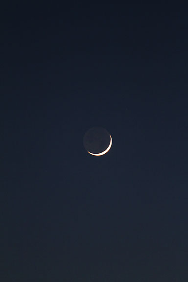 [Moon]