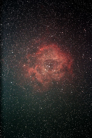 [Rose Nebula]