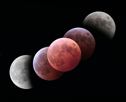 [Moon Eclipse]