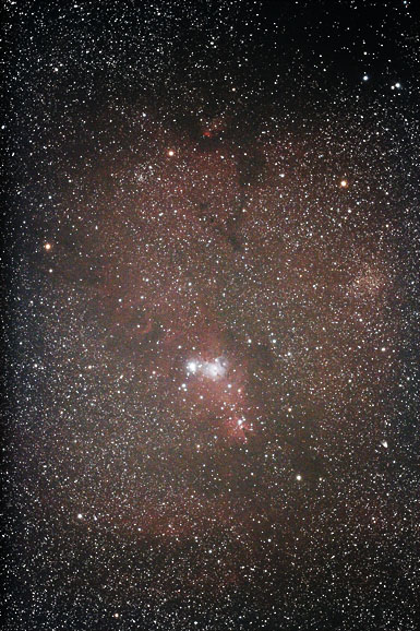 [Cone Nebula,NGC2264]