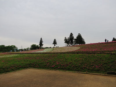 [Hitsujiyama-Park]