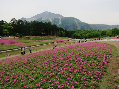 [Hitsujiyama-Park]