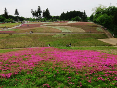 [Hitsujiyama-Park]