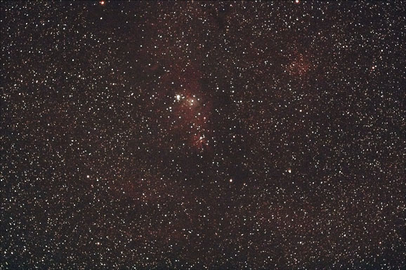 [NGC2264]