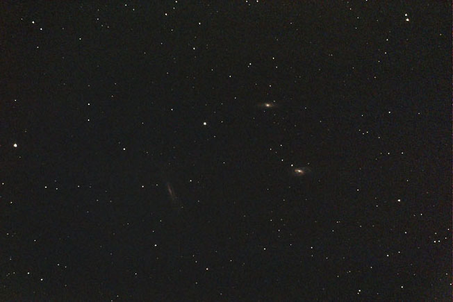 [M65,66,NGC3628]