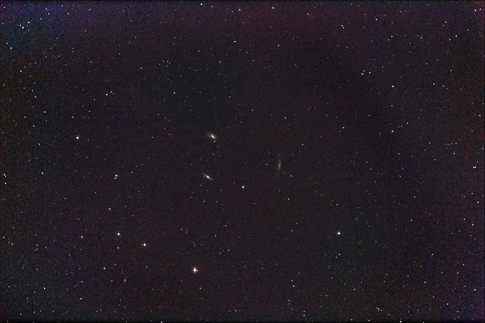 [M65,66,NGC3628]