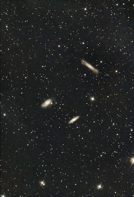 [M65,66,NGC3628]